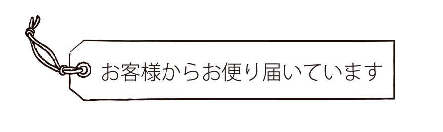 ペットクッション,ペットクッションのある生活,犬,猫,オーダークッション,ふわふわ,洗える,オーダー